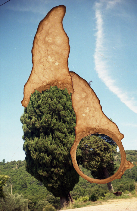 http://www.kozieradzka.pl/files/gimgs/53_011cyprysy.jpg
